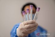 Dua warga Singapura penumpang MV Hondius dinyatakan negatif hantavirus