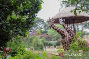 Kemenhut: Pemerintah kota tanggung kebutuhan satwa Bandung Zoo