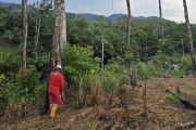 PLN gelar GROWS di Desa Semade dan Tunang perkuat keandalan jaringan listrik di Mempawah