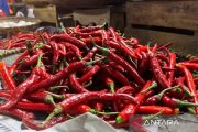 PIHPS catat harga cabai rawit Rp73.500/kg, telur ayam Rp30.500/kg