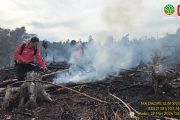 Kemenhut perkuat operasi pemadaman karhutla di 4 provinsi Sumatera