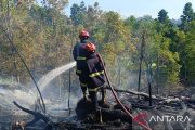 Damkar Lamsel berhasil padamkan kebakaran lahan di Kalianda