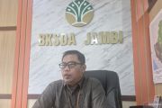 BKSDA Jambi tingkatkan patroli cegah karhutla di koridor gajah