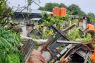 BPBD imbau warga Sabang waspadai bencana saat cuaca ekstrem