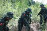 BNN musnahkan 36 ribu batang ganja di Aceh Besar
