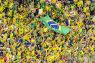 Piala Dunia 2022 - Gemuruh hentakan kaki suporter bantu Brazil runtuhkan pertahanan Swiss