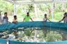 Samosir kembangkan budi daya ikan sistem bioflok