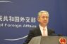 China dukung Sekjen PBB gunakan Pasal 99 untuk atasi konflik Gaza