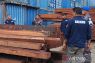Kasus 3.000 batang kayu besi ilegal di Jayapura dinaikkan ke penyidikan