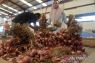 Bawang merah bertahan Rp60 ribu per kilogram di Aceh Besar