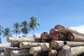 Lakukan pemeriksaan, BKHIT Maluku pastikan kayu meranti asal Namrole siap kirim ke Sumut