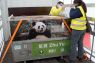 Sepasang panda raksasa China telah tiba di Spanyol