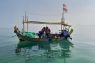 PHE ONWJ rehabilitasi ekosistem terumbu karang yang sudah hancur di laut utara Karawang