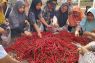 DKPP Batam giatkan petani jual cabai lokal di 30 titik
