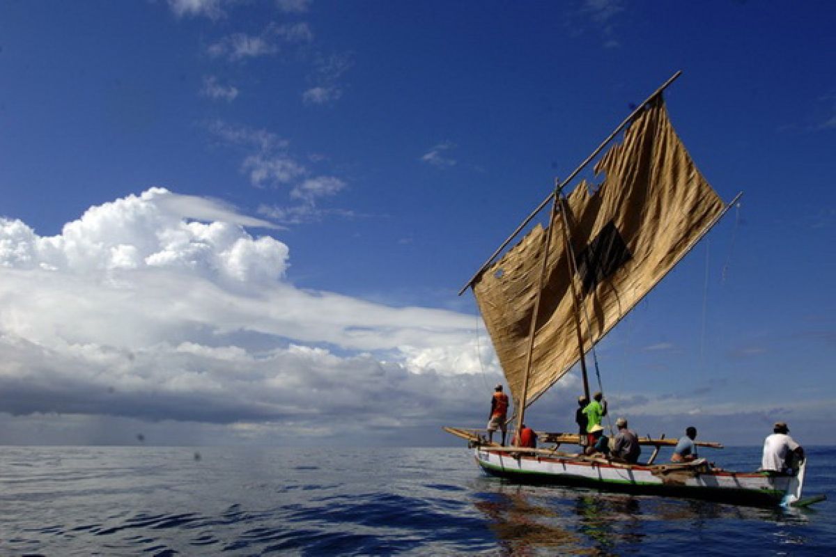 Laut Sawu adalah "kafe" bagi ikan paus dan lumba-luma