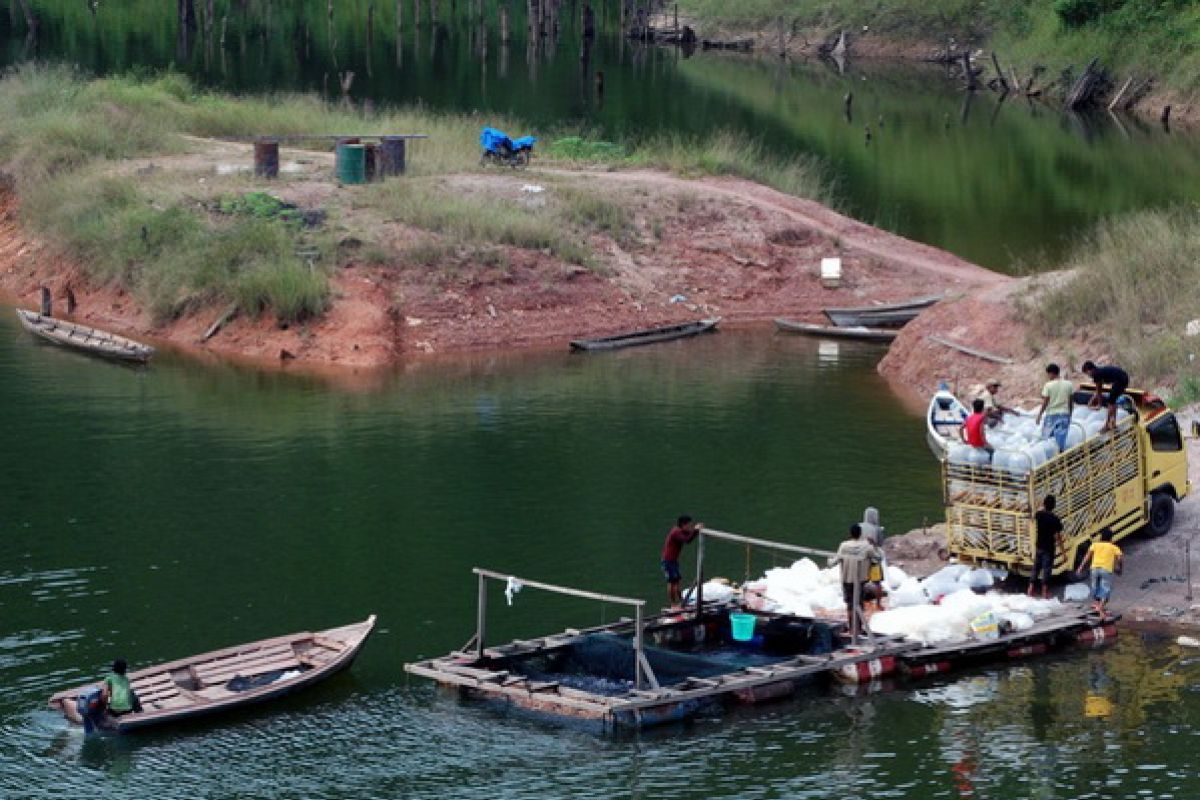 Waspada banjir saat pintu waduk PLTA Koto Panjang terbuka