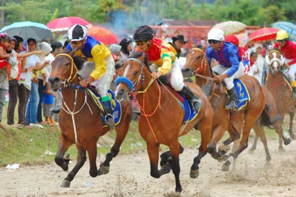 Bukittinggi dan Agam gelar pacuan kuda Wako Bupati Cup 2023