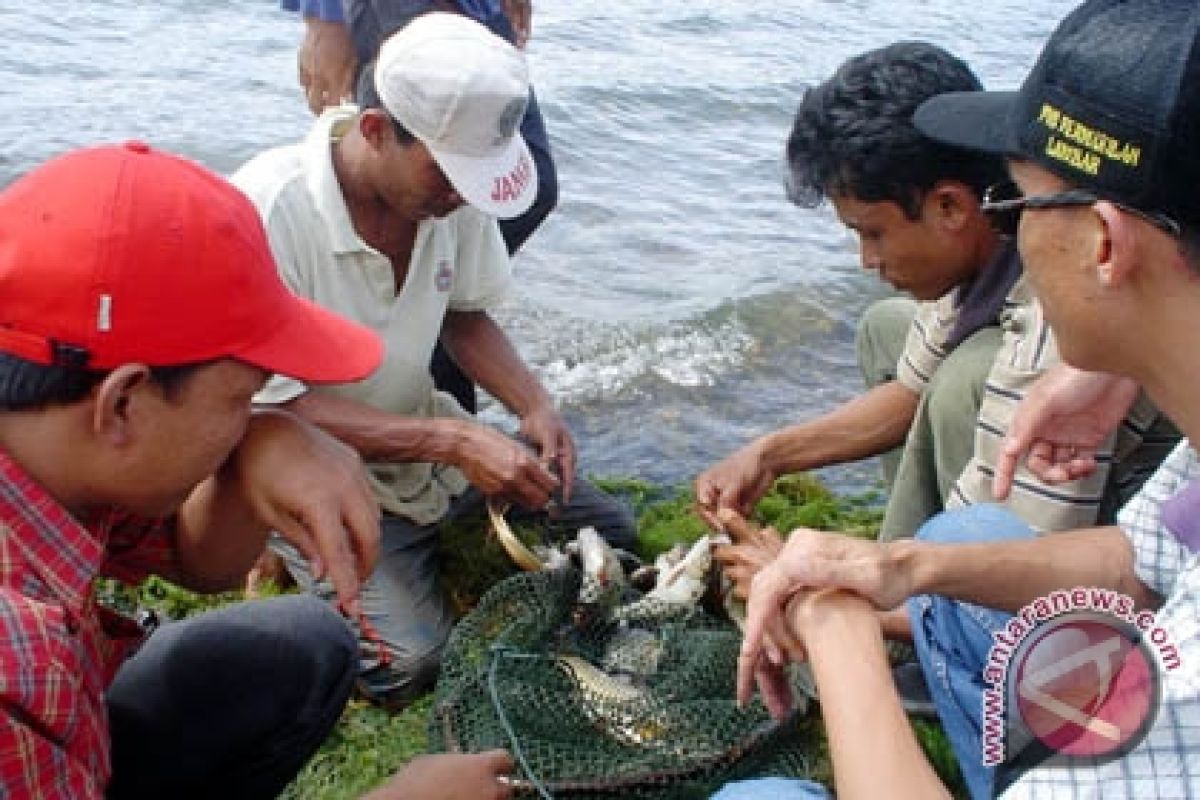 Lampung Barat Bangun Pondok Wisata