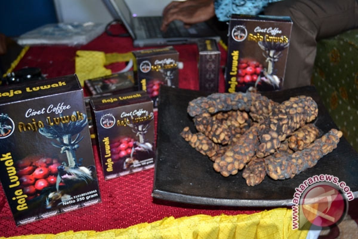 Kopi Luwak Lampung Barat Tembus Pasar Korea