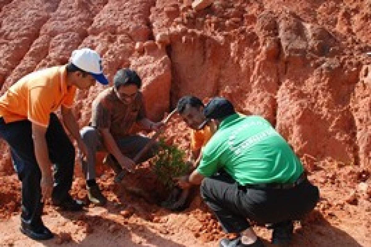 BP Batam Tanam Pohon Penghijauan pada Ujung Tahun