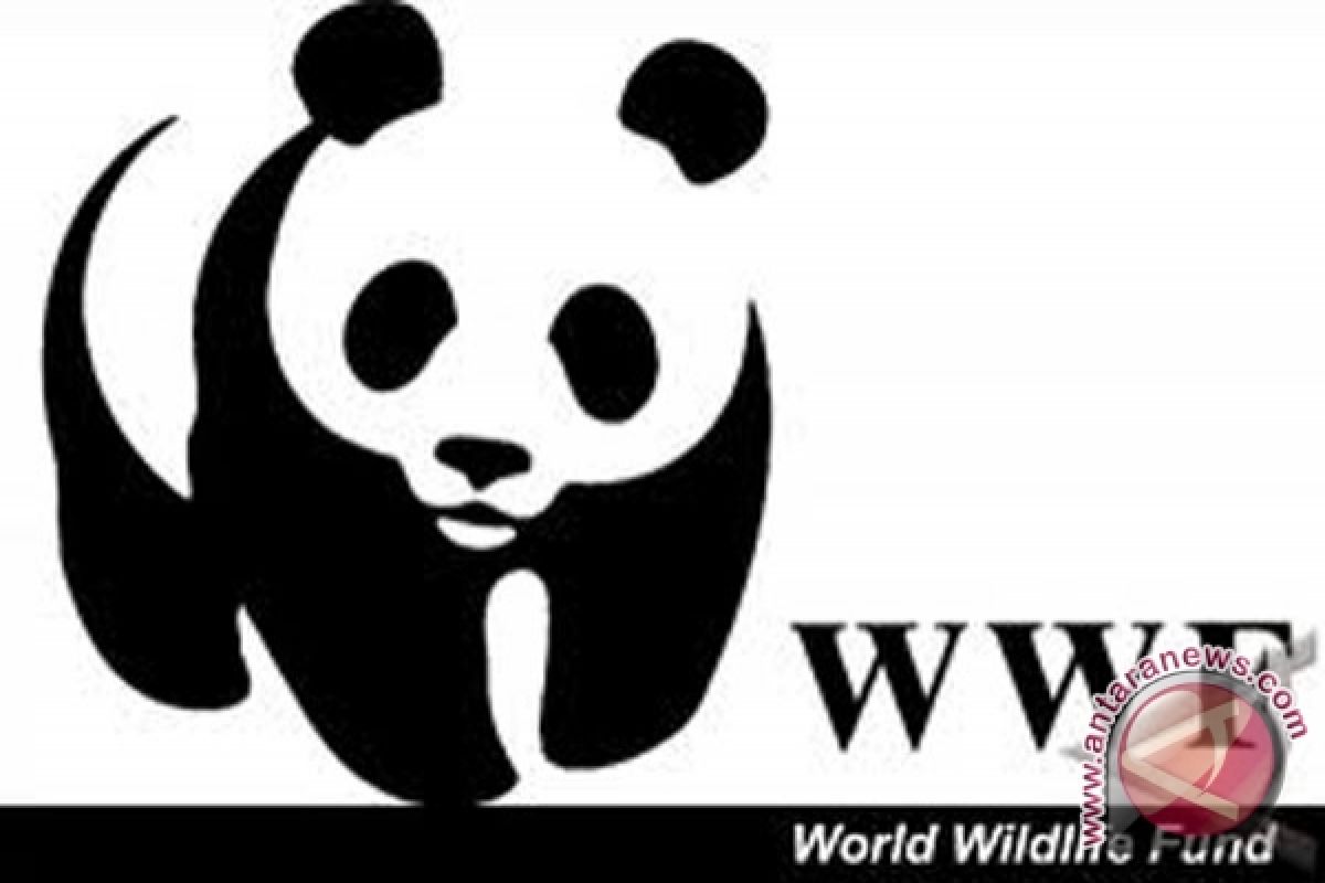 WWF ajak pelaku pariwisata Wakatobi awasi konservasi