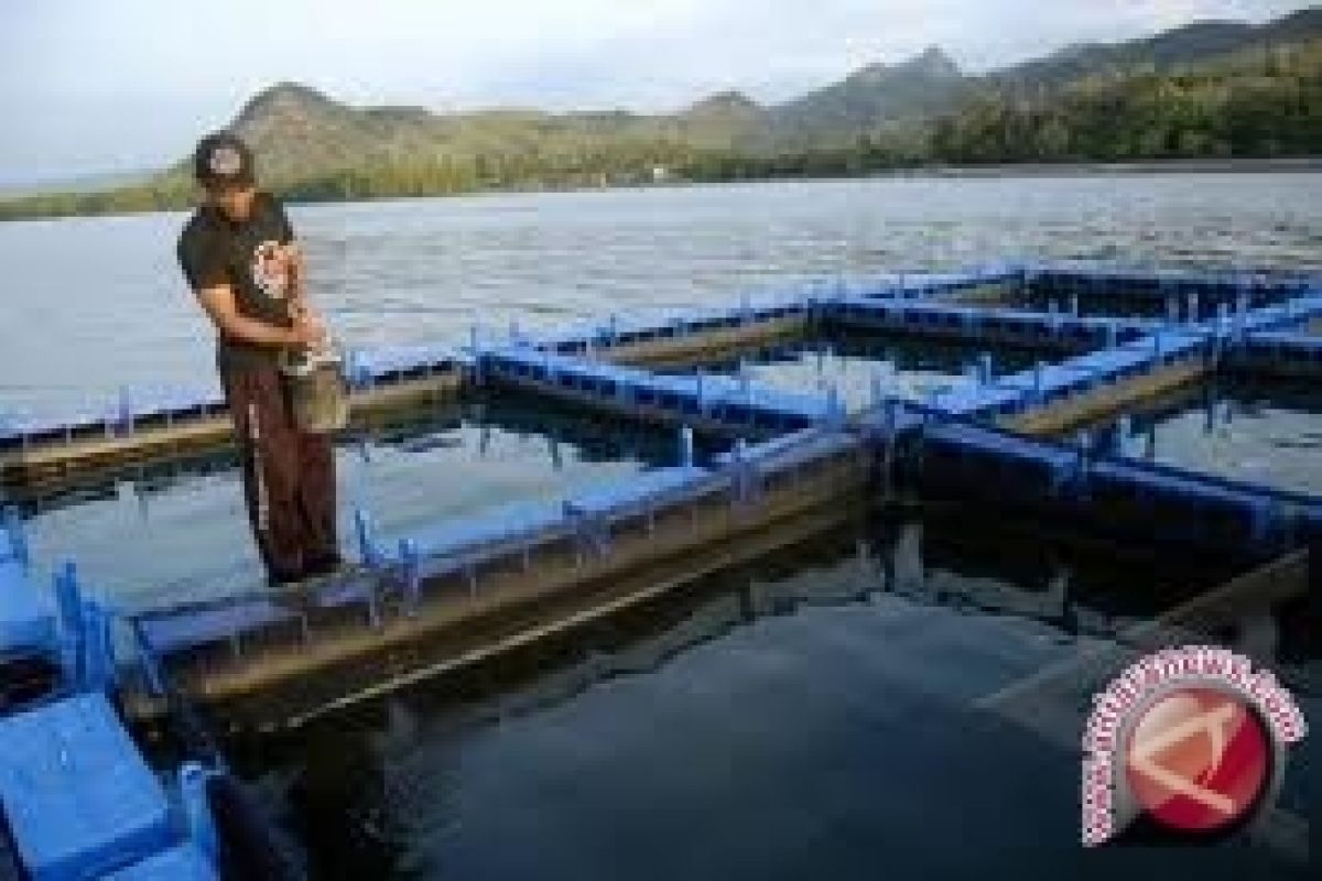 Lahan tambak udang Kulon Progo terendam banjir 