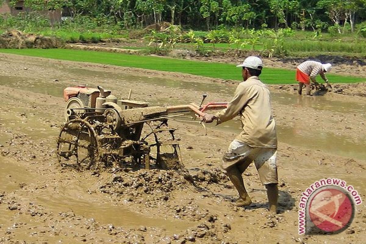 Bengkulu segera berikan bantuan 1.118 alat dan mesin pertanian bagi petani