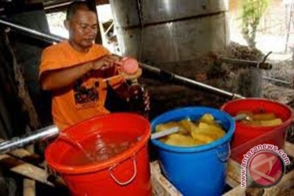 Produksi atsiri cengkih Kulon Progo meningkat 