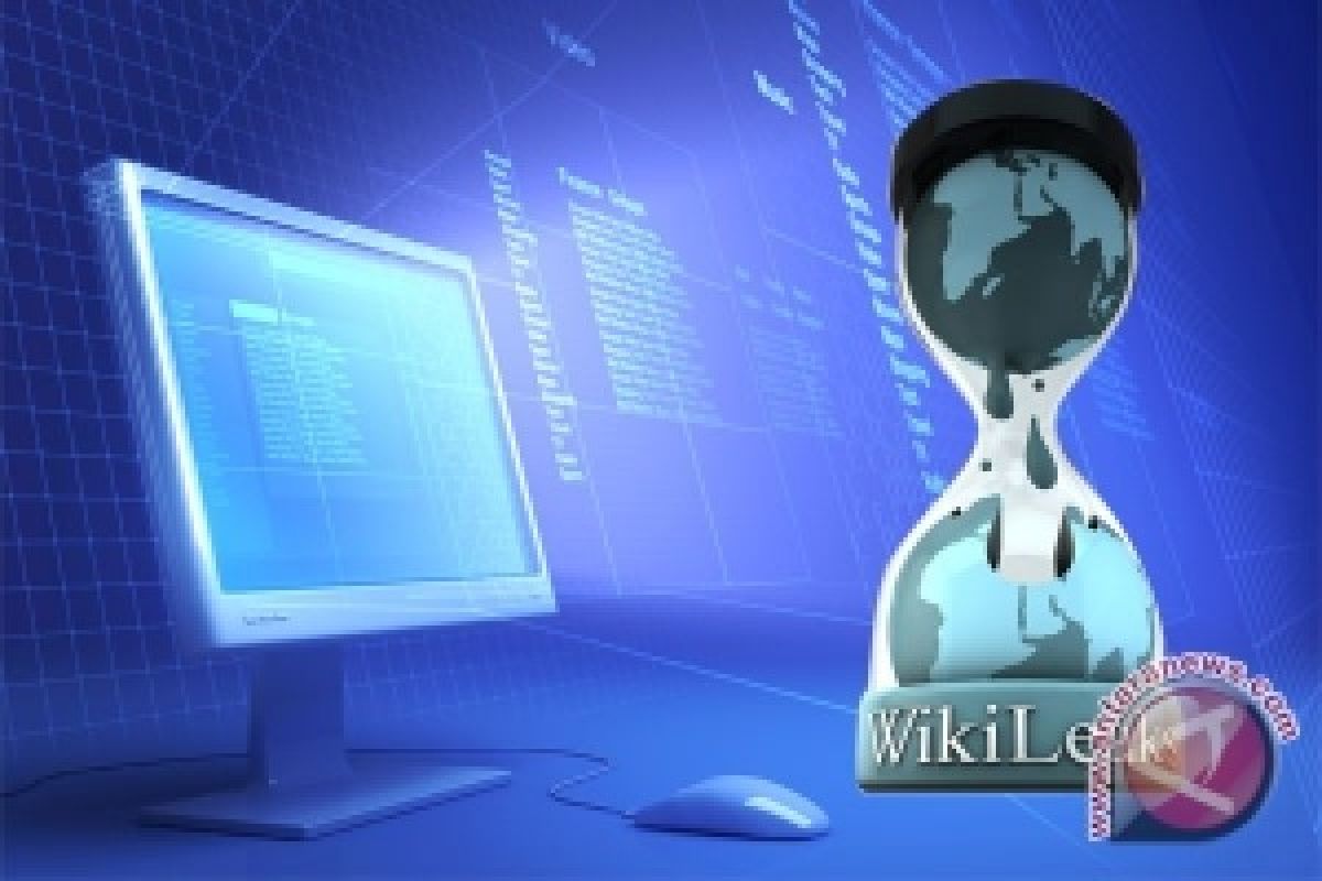 WikiLeaks Selamat Dari Serangan DoS 10GB/detik