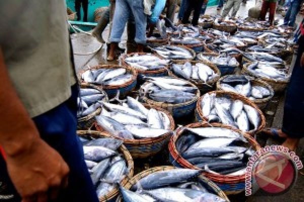 Usaha Pengeringan Ikan Berhenti Produksi