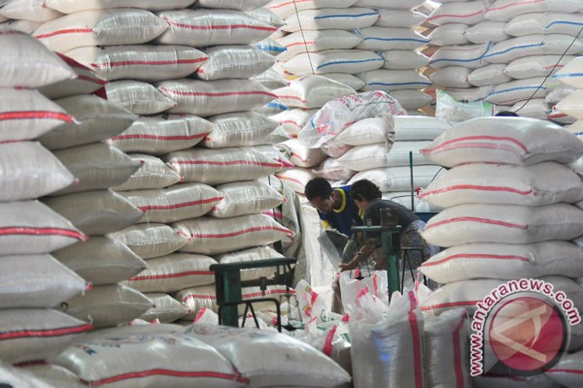 Perkuat data pangan sebelum impor beras
