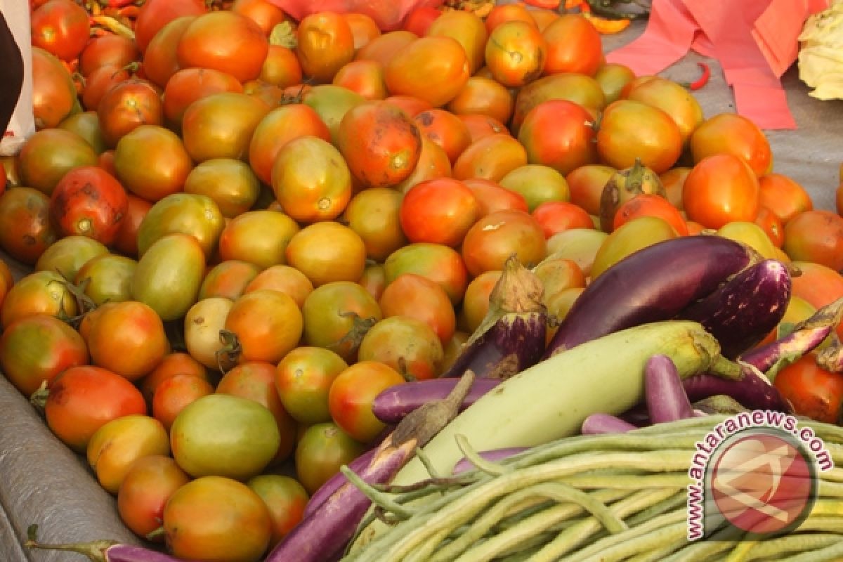 Harga sayuran di pesisir Kulon Progo naik 