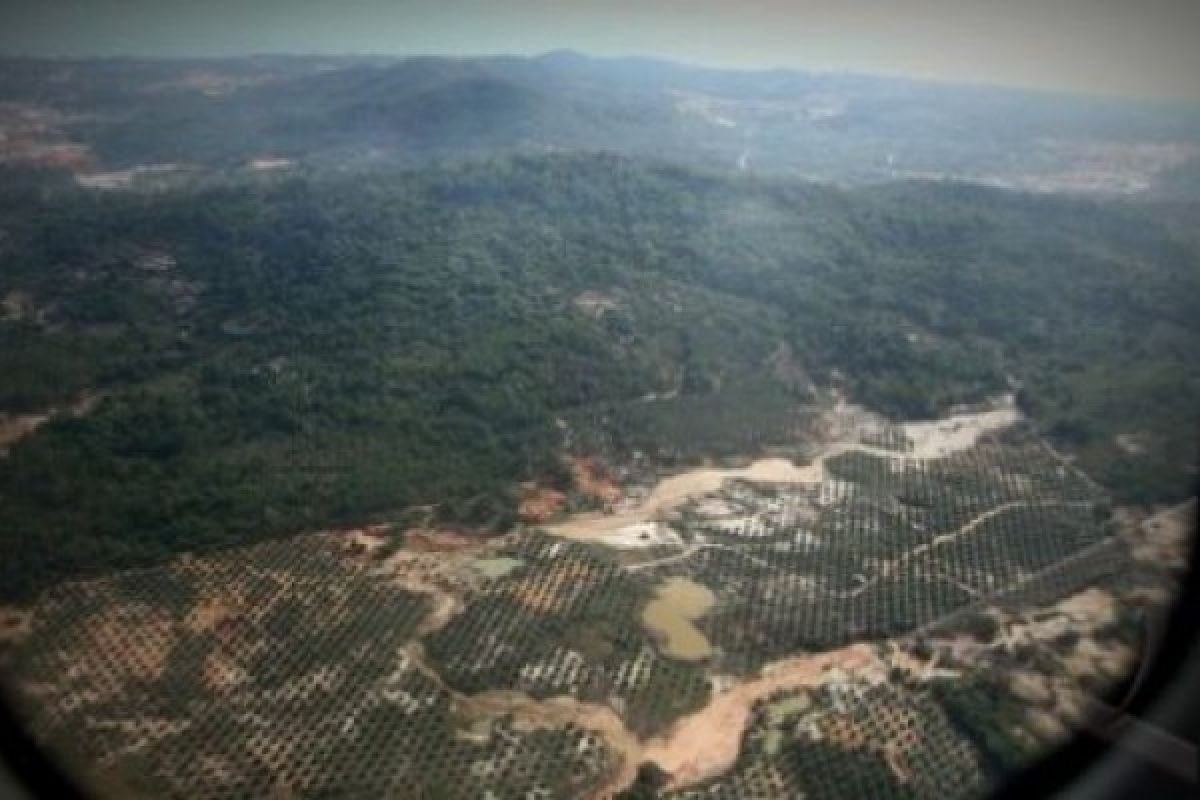 Wonogiri Padukan Manfaat Ekonomi-Ekologi Hutan Rakyat