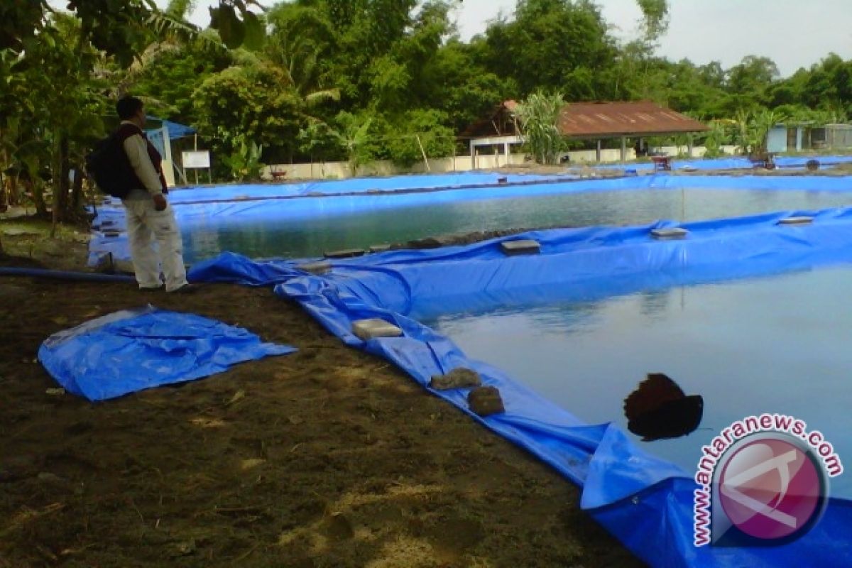 Balai Benih Ikan Pundong dijadikan pusat pemancingan ikan