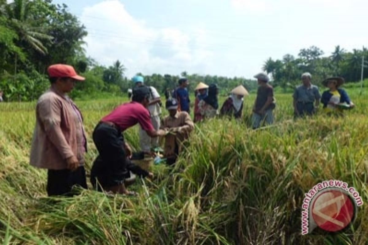 Watimpres serap aspirasi petani dan peternak Sleman