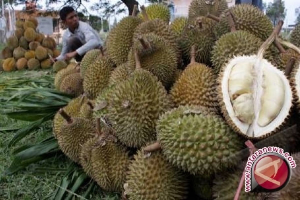 Durian turunkan tekanan darah tinggi? Ini jawaban ahli gizi