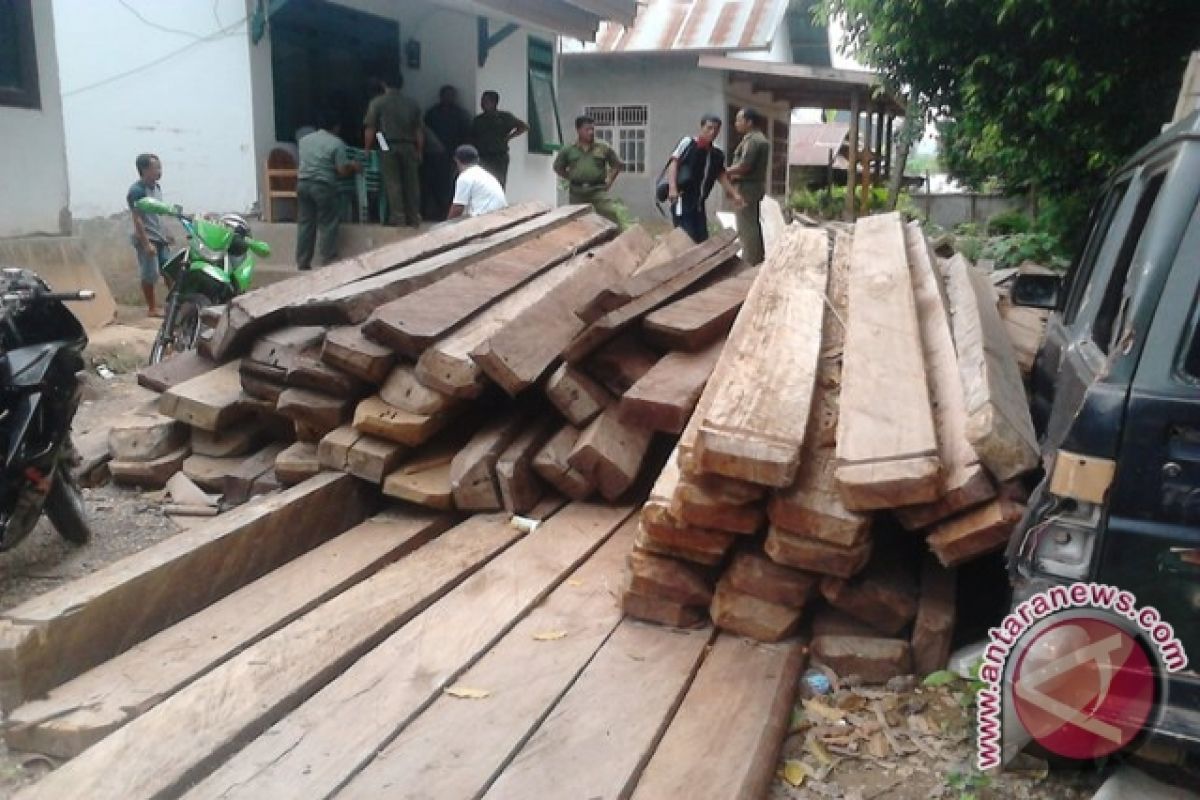 UPP Baubau pastikan kayu masuk pelabuhan miliki dokumen