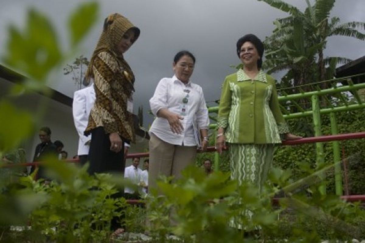 Pemprov Jateng Dorong Pemanfaatan Tanaman Obat Keluarga