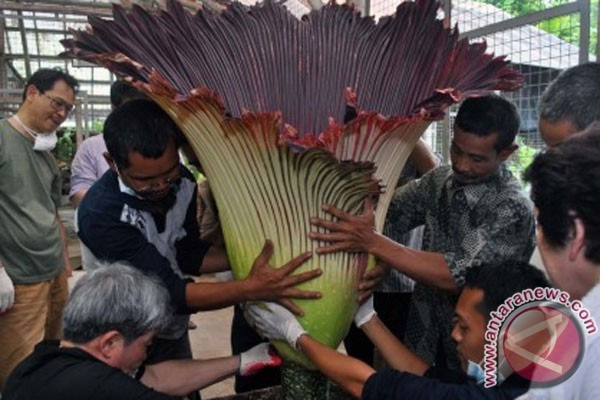 Kebun raya bantu masalah kehilangan biodiversitas