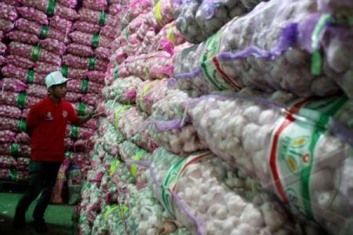 PPNSI: Lonjakan Harga Bawang Disengaja