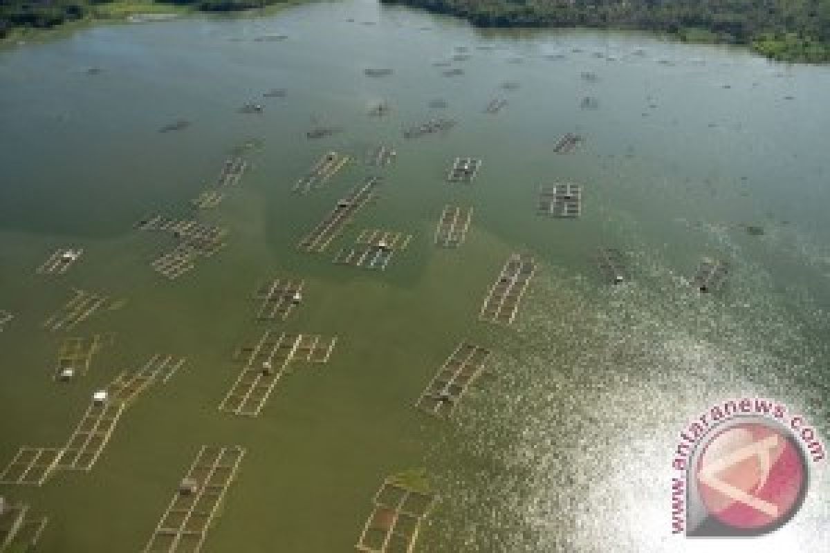 Elevasi Waduk Kedungombo di Atas Normal