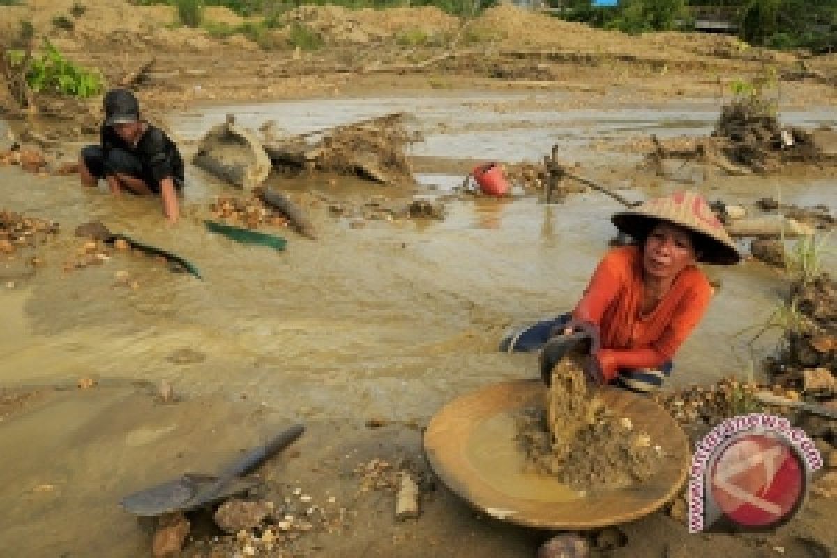 Legislator: Beri Ruang Bagi Penambang Emas Tradisional