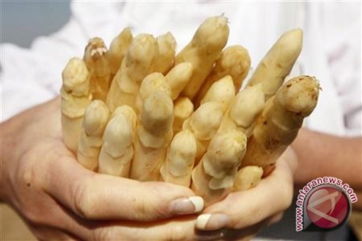 Sayuran Asparagus bagus untuk kendalikan diabetes