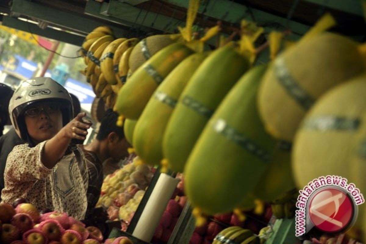 Ahli gizi sarankan sajikan buah tanpa campuran pada anak