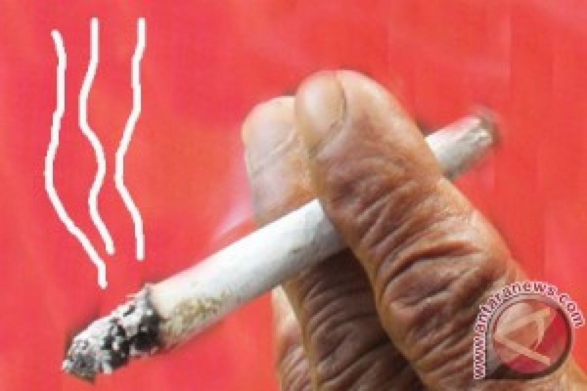  Residu Rokok Rusak DNA