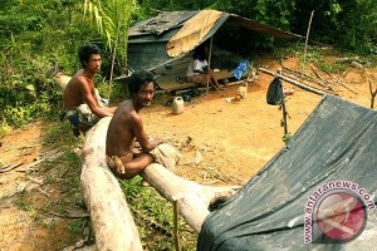 Besudut, Anak Rimba Pertama Yang Masuk Universitas