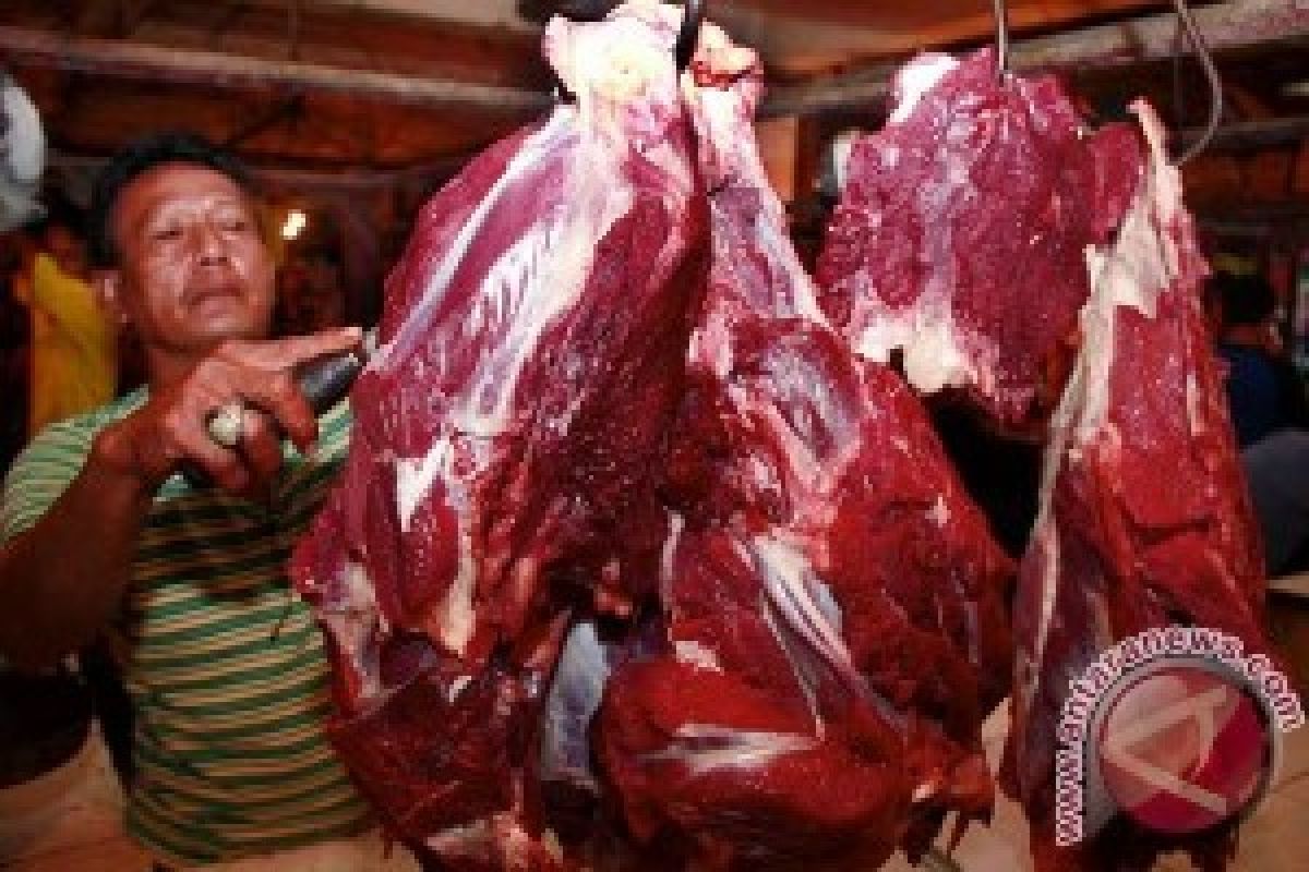 Buah Lindur Baik Untuk Awetkan Daging Sapi