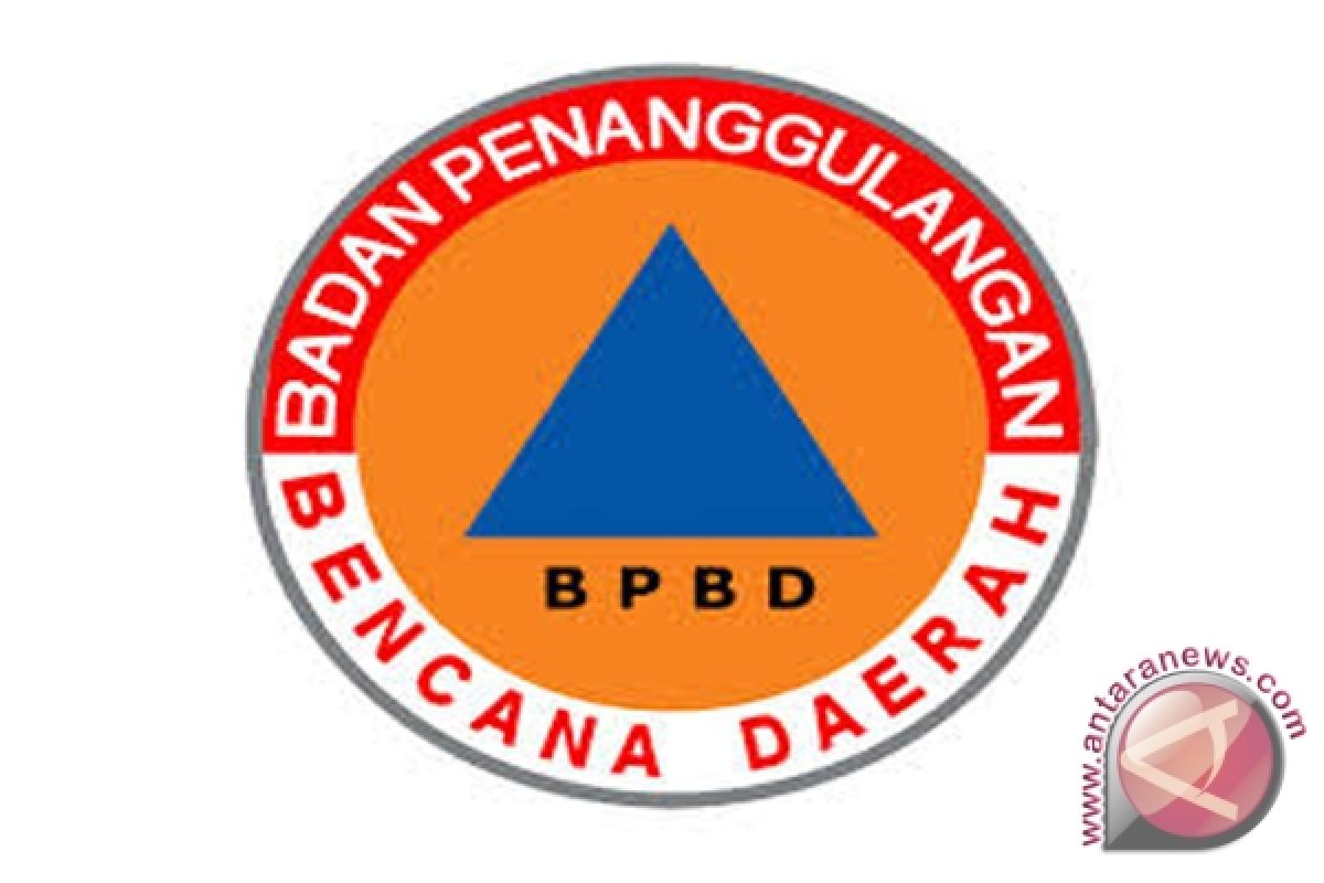 BPBD Kalteng Konsep Tanggulangi Kebakaran Hutan 