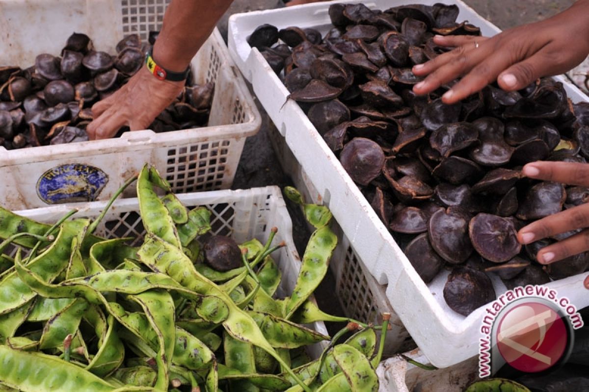 Petai Jengkol masih sulit dicari