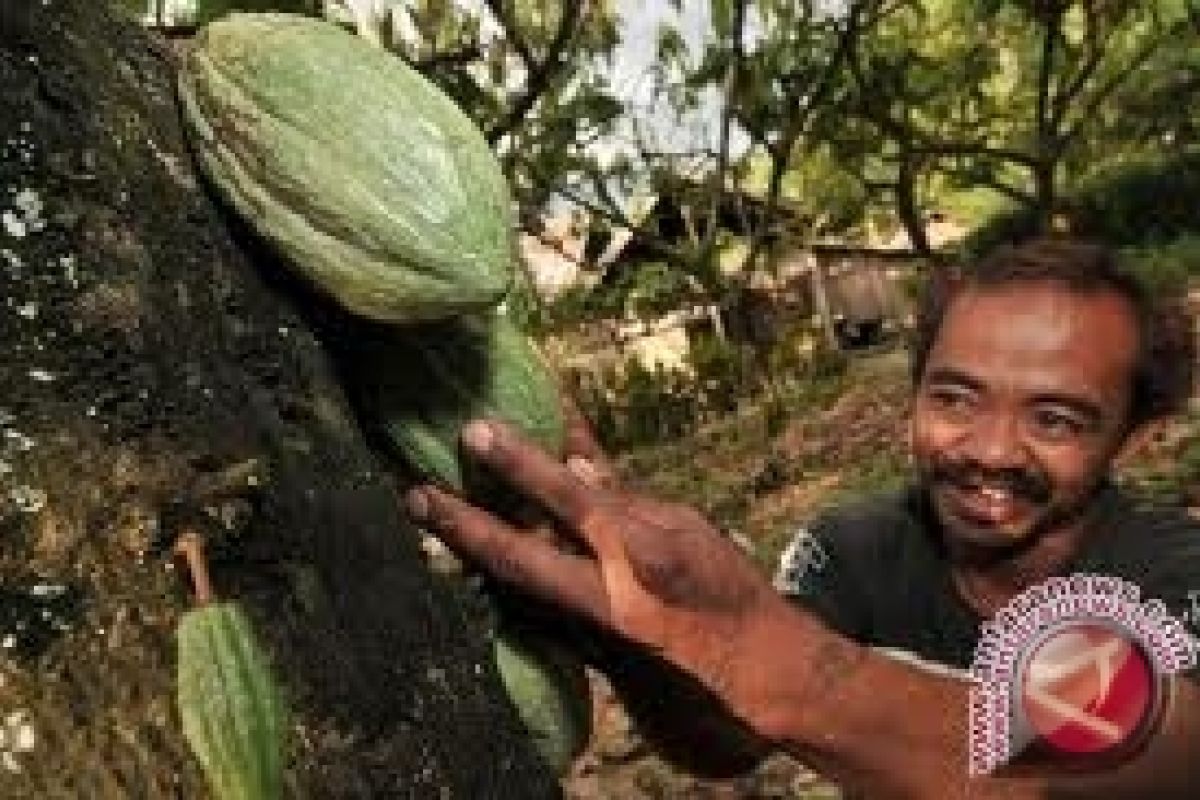 Jangan takut miskin jadi petani